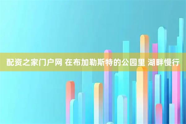配资之家门户网 在布加勒斯特的公园里 湖畔慢行