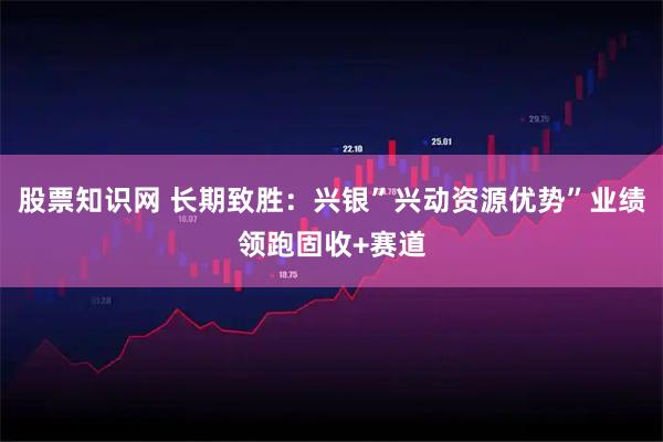 股票知识网 长期致胜：兴银”兴动资源优势”业绩领跑固收+赛道